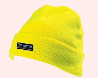 Thinsulate lined hat